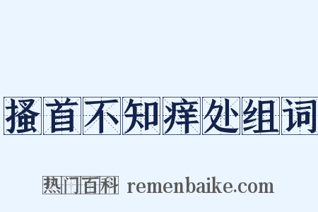 搔首不知痒处组词是什么意思的图片